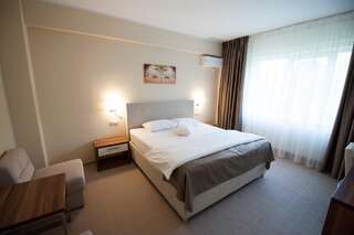 Отели типа «постель и завтрак» Bruxelles Guesthouse Craiova Крайова Двухместный номер с 1 кроватью-1